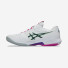 Asics Solution Speed FF 4 Clay 1041A533-101