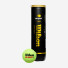 Wilson US Open Extra Duty 4ball