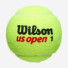Wilson US Open Extra Duty 72ball