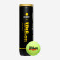 Wilson US Open Extra Duty 4ball