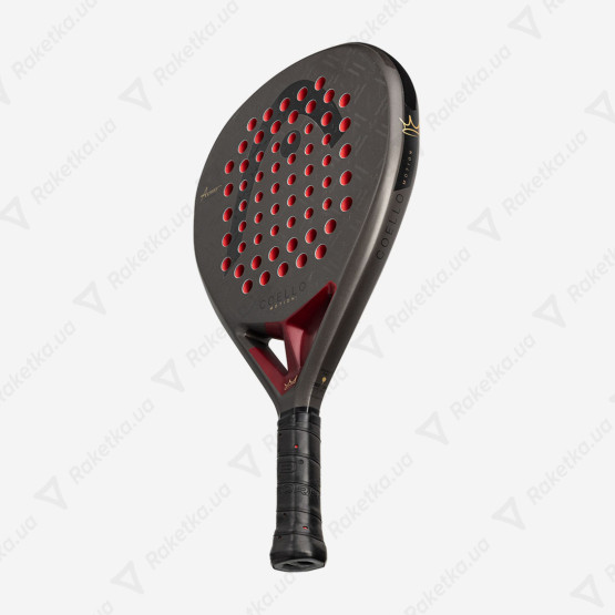 Head Coello Motion 2026 225046