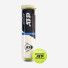 Dunlop ATP Champions 4ball