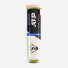 Dunlop ATP Champions 4ball