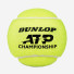 Dunlop ATP Champions 4ball