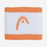 Head Wristband striped 2.5 APWH 285866
