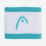 Head Wristband striped 2.5 TQWH 285866