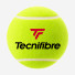 Tecnifibre X-One 4 ball