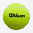 Wilson Premier Padel Balls Can 3ball WR8908401001