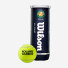 Wilson Roland Garros All Court 3ball