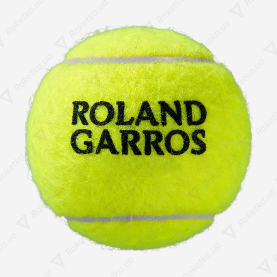 Wilson Roland Garros All Court 3ball