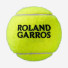 Wilson Roland Garros All Court 3ball