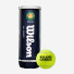 Wilson Roland Garros All Court 3ball