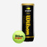 Wilson US Open Extra Duty 3ball