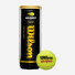 Wilson US Open Extra Duty 3ball