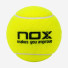 Nox Nerbo 3ball