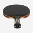 Stiga Carbon Advance FL