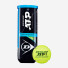 Dunlop ATP Champions 3 ball