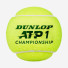 Dunlop ATP Champions 3 ball