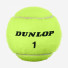 Dunlop Club All Court 3ball
