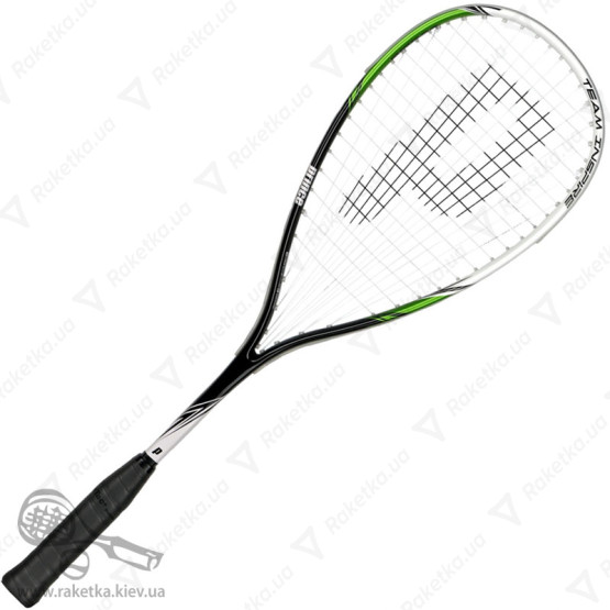 Prince Team Inspire 200