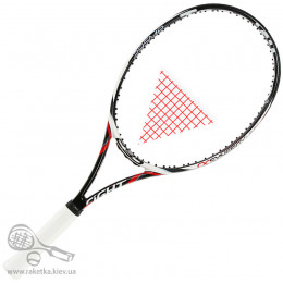 Теннисная ракетка Tecnifibre Tfight 295 MP