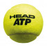 Head ATP 3ball new